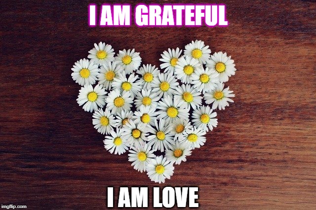 i am grateful & i am love | I AM GRATEFUL; I AM LOVE | image tagged in grateful,love | made w/ Imgflip meme maker