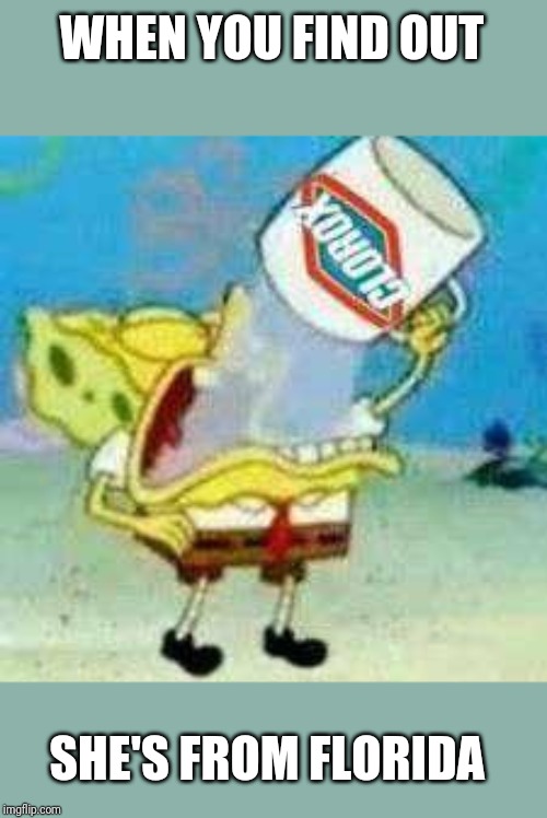 Spongebob Clorox  | WHEN YOU FIND OUT; SHE'S FROM FLORIDA | image tagged in spongebob clorox | made w/ Imgflip meme maker
