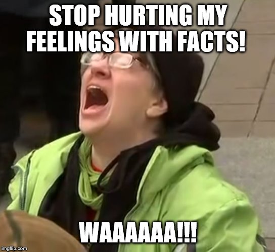 snowflake | STOP HURTING MY FEELINGS WITH FACTS! WAAAAAA!!! | image tagged in snowflake | made w/ Imgflip meme maker