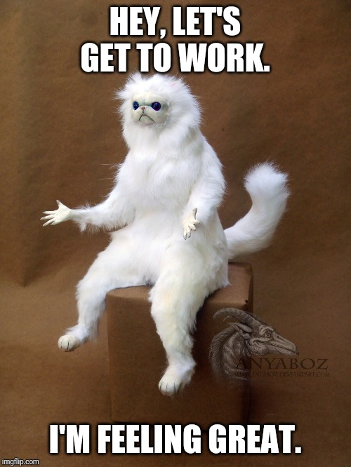 Persian Cat Room Guardian Single Meme | HEY, LET'S GET TO WORK. I'M FEELING GREAT. | image tagged in memes,persian cat room guardian single | made w/ Imgflip meme maker