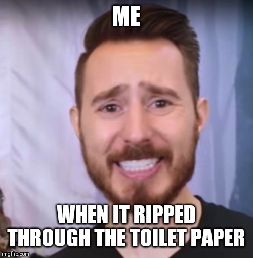 When it ripped through toilet paper | ME; WHEN IT RIPPED THROUGH THE TOILET PAPER | image tagged in toilet paper | made w/ Imgflip meme maker