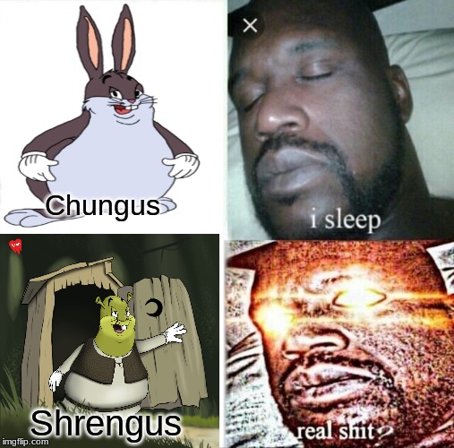 Sleeping Shaq Meme | Chungus; Shrengus | image tagged in memes,sleeping shaq | made w/ Imgflip meme maker
