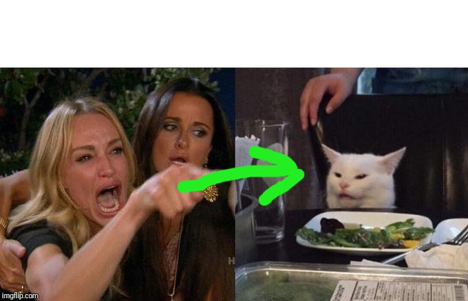 Woman Yelling At Cat Meme | image tagged in memes,woman yelling at cat | made w/ Imgflip meme maker