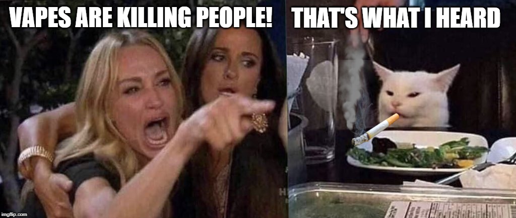 woman yelling at cat | VAPES ARE KILLING PEOPLE! THAT'S WHAT I HEARD | image tagged in woman yelling at cat | made w/ Imgflip meme maker