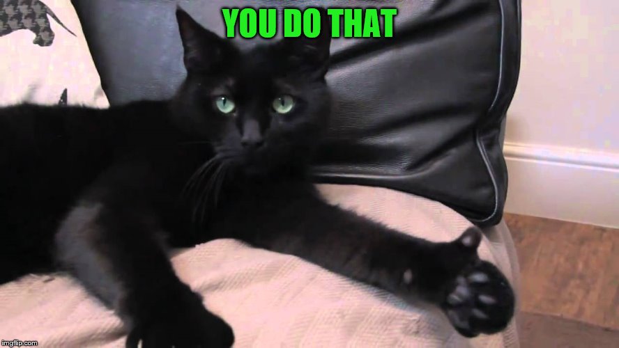 thumbs up cat | YOU DO THAT | image tagged in thumbs up cat | made w/ Imgflip meme maker