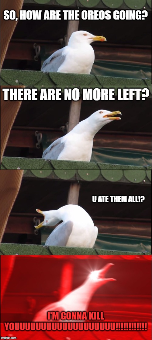 Inhaling Seagull Meme | SO, HOW ARE THE OREOS GOING? THERE ARE NO MORE LEFT? U ATE THEM ALL!? I'M GONNA KILL YOUUUUUUUUUUUUUUUUUUU!!!!!!!!!!!! | image tagged in memes,inhaling seagull | made w/ Imgflip meme maker