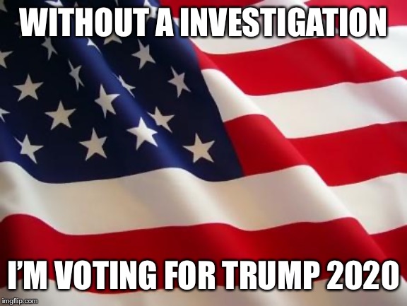 American flag | WITHOUT A INVESTIGATION; I’M VOTING FOR TRUMP 2020 | image tagged in american flag | made w/ Imgflip meme maker