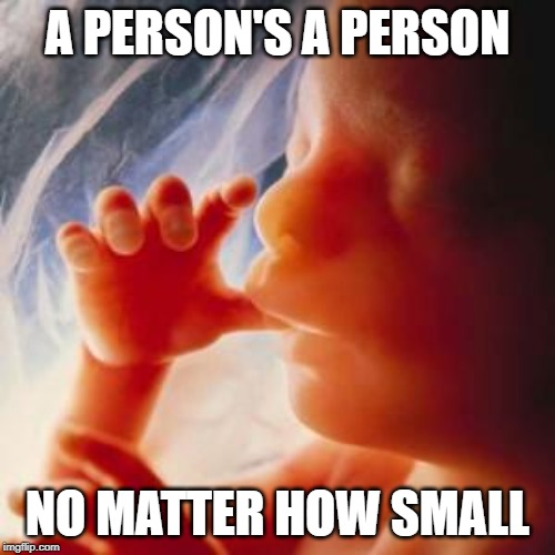 no matter how small | A PERSON'S A PERSON; NO MATTER HOW SMALL | image tagged in fetus,cute,politics,abortion,abortion is murder | made w/ Imgflip meme maker