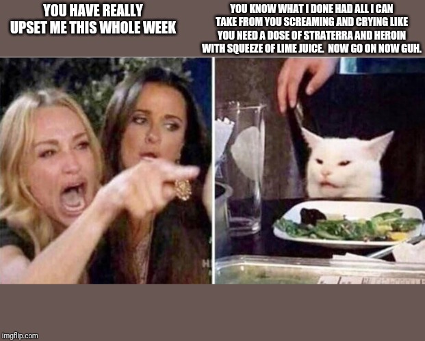 Crying girls and Cat | YOU KNOW WHAT I DONE HAD ALL I CAN TAKE FROM YOU SCREAMING AND CRYING LIKE YOU NEED A DOSE OF STRATERRA AND HEROIN WITH SQUEEZE OF LIME JUICE.  NOW GO ON NOW GUH. YOU HAVE REALLY UPSET ME THIS WHOLE WEEK | image tagged in crying girls and cat | made w/ Imgflip meme maker