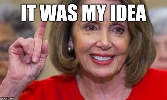 Pelosi one | IT WAS MY IDEA | image tagged in pelosi one | made w/ Imgflip meme maker