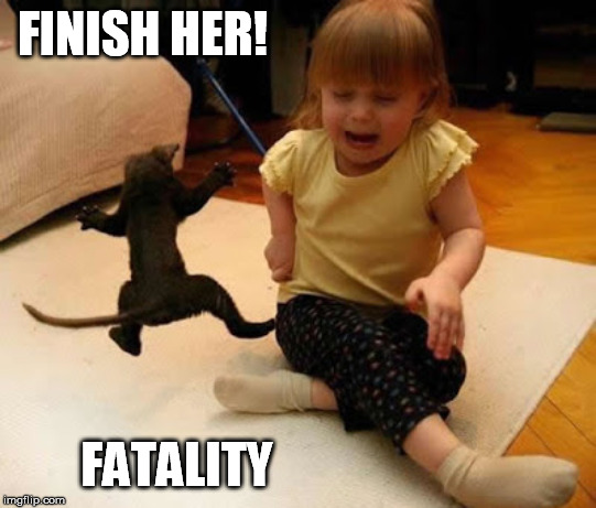 FINISH HER! FATALITY | made w/ Imgflip meme maker