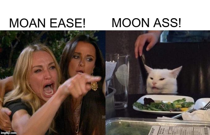 Woman Yelling At Cat | MOON ASS! MOAN EASE! | image tagged in memes,woman yelling at cat | made w/ Imgflip meme maker