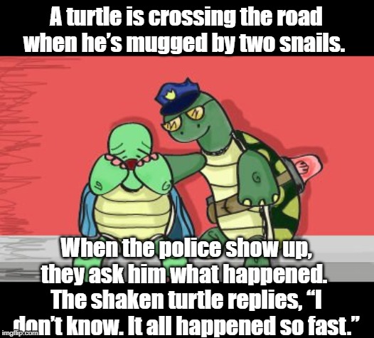 A turtle crossing the road | A turtle is crossing the road when he’s mugged by two snails. When the police show up, they ask him what happened. 
The shaken turtle replies, “I don’t know. It all happened so fast.” | image tagged in funny | made w/ Imgflip meme maker