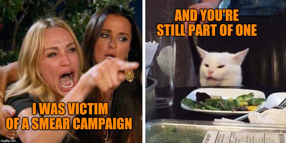 badump bump | AND YOU'RE STILL PART OF ONE; I WAS VICTIM OF A SMEAR CAMPAIGN | image tagged in smudge the cat,trump impeachment | made w/ Imgflip meme maker