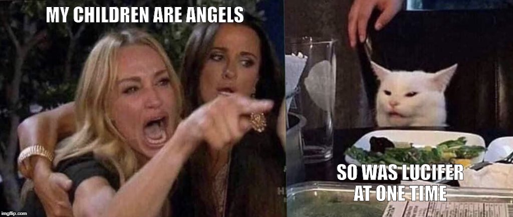 woman yelling at cat | MY CHILDREN ARE ANGELS; SO WAS LUCIFER AT ONE TIME | image tagged in woman yelling at cat | made w/ Imgflip meme maker