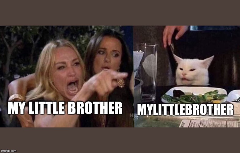 woman yelling at cat | MY LITTLE BROTHER; MYLITTLEBROTHER | image tagged in woman yelling at cat | made w/ Imgflip meme maker