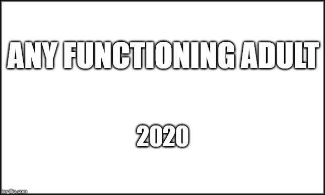 plain white | ANY FUNCTIONING ADULT; 2020 | image tagged in plain white | made w/ Imgflip meme maker