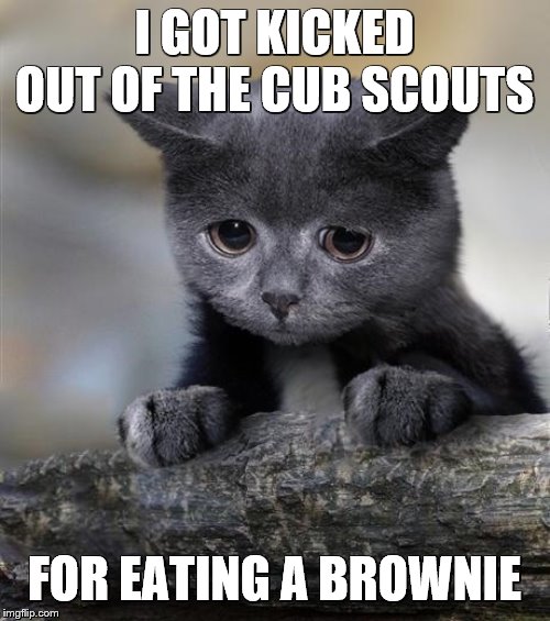 Confession Cat | I GOT KICKED OUT OF THE CUB SCOUTS FOR EATING A BROWNIE | image tagged in confession cat | made w/ Imgflip meme maker