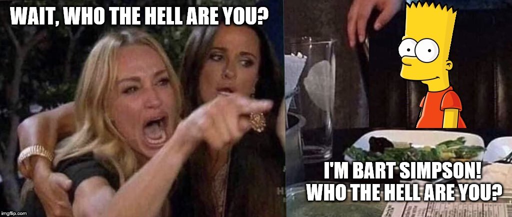 Bart Simpson introduces himself | WAIT, WHO THE HELL ARE YOU? I'M BART SIMPSON!  WHO THE HELL ARE YOU? | image tagged in woman yelling at cat,bart simpson | made w/ Imgflip meme maker