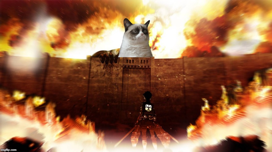 ATTACK ON GRUMPY | image tagged in grumpy cat,attack on titan,anime | made w/ Imgflip meme maker