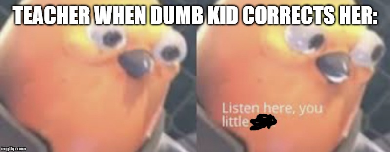 Listen here you little shit bird | TEACHER WHEN DUMB KID CORRECTS HER: | image tagged in listen here you little shit bird | made w/ Imgflip meme maker