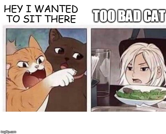 GET OUT OF HIS SEAT | HEY I WANTED TO SIT THERE; TOO BAD CAT | image tagged in woman yelling at cat,anime | made w/ Imgflip meme maker