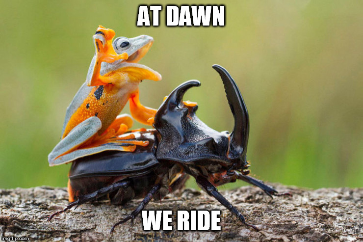 AT DAWN WE RIDE | made w/ Imgflip meme maker