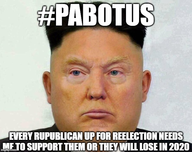 Donald Trump Clown Kim | #PABOTUS; EVERY RUPUBLICAN UP FOR REELECTION NEEDS ME TO SUPPORT THEM OR THEY WILL LOSE IN 2020 | image tagged in donald trump clown kim | made w/ Imgflip meme maker