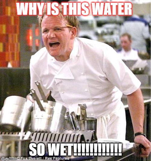 Chef Gordon Ramsay | WHY IS THIS WATER; SO WET!!!!!!!!!!!! | image tagged in memes,chef gordon ramsay | made w/ Imgflip meme maker