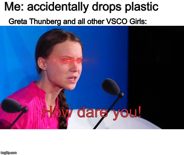 Me: accidentally drops plastic; Greta Thunberg and all other VSCO Girls:; How dare you! | image tagged in greta thunberg how dare you | made w/ Imgflip meme maker