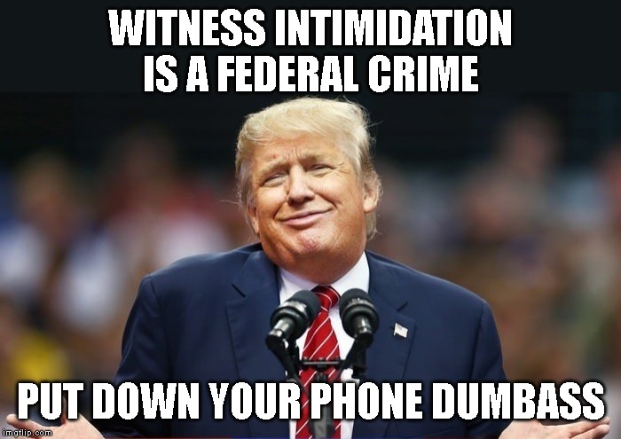 Trump Commits a Crime During the Impeachment Inquiry | WITNESS INTIMIDATION IS A FEDERAL CRIME; PUT DOWN YOUR PHONE DUMBASS | image tagged in criminal,conman,corrupt,donald trump is an idiot,traitor,impeach trump | made w/ Imgflip meme maker