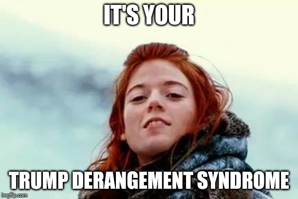 You know nothing | IT'S YOUR TRUMP DERANGEMENT SYNDROME | image tagged in you know nothing | made w/ Imgflip meme maker