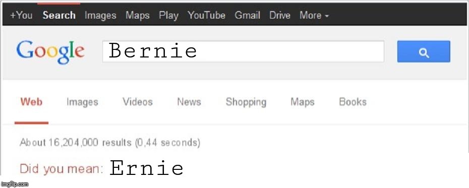 Did You Mean...? | Bernie Ernie | image tagged in did you mean | made w/ Imgflip meme maker