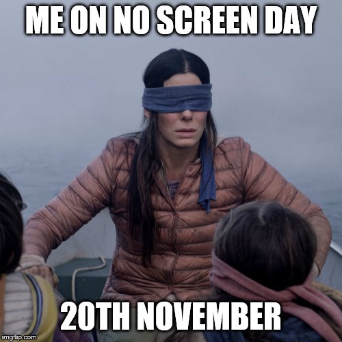 Bird Box | ME ON NO SCREEN DAY; 20TH NOVEMBER | image tagged in memes,bird box | made w/ Imgflip meme maker