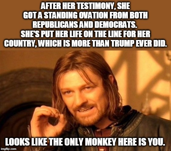 One Does Not Simply Meme | AFTER HER TESTIMONY, SHE GOT A STANDING OVATION FROM BOTH REPUBLICANS AND DEMOCRATS. 
SHE'S PUT HER LIFE ON THE LINE FOR HER COUNTRY, WHICH  | image tagged in memes,one does not simply | made w/ Imgflip meme maker