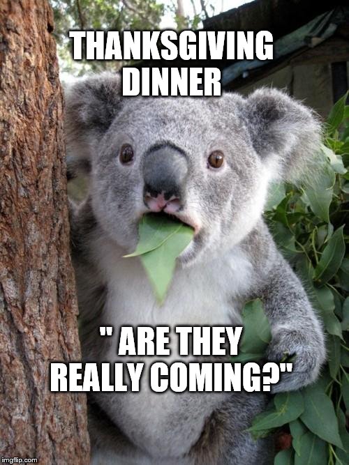 Surprised Koala Meme | THANKSGIVING DINNER; " ARE THEY REALLY COMING?" | image tagged in memes,surprised koala | made w/ Imgflip meme maker