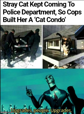 "Well thank you, humans." | image tagged in cats,memes,funny,upgrades,condo | made w/ Imgflip meme maker