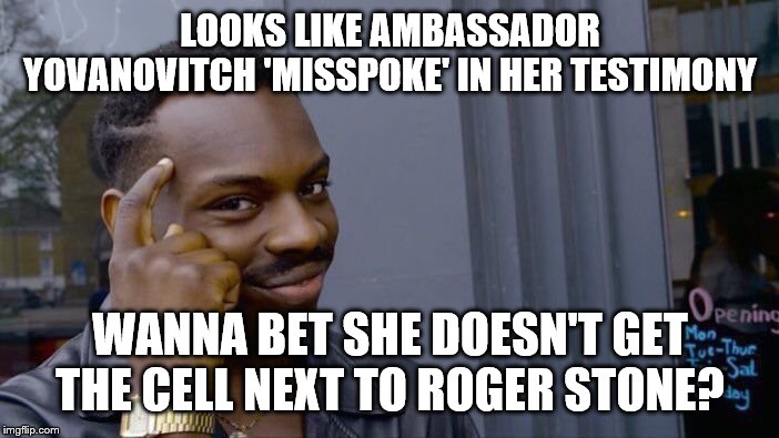 Roll Safe Think About It Meme | LOOKS LIKE AMBASSADOR YOVANOVITCH 'MISSPOKE' IN HER TESTIMONY; WANNA BET SHE DOESN'T GET THE CELL NEXT TO ROGER STONE? | image tagged in memes,roll safe think about it | made w/ Imgflip meme maker