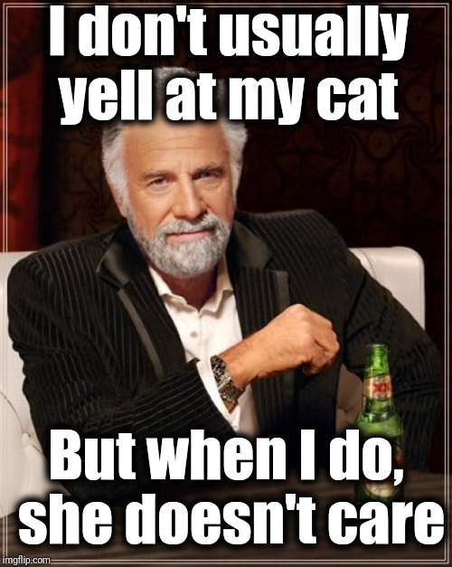 The Most Interesting Man In The World Meme | I don't usually yell at my cat But when I do,  she doesn't care | image tagged in memes,the most interesting man in the world | made w/ Imgflip meme maker