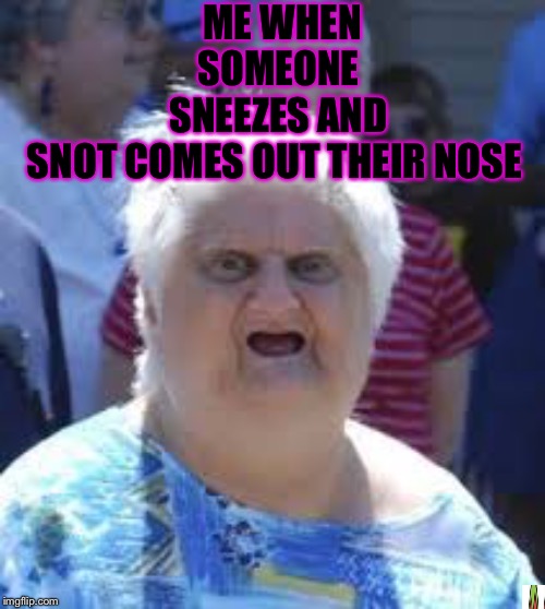 Use a Kleenex | ME WHEN SOMEONE SNEEZES AND SNOT COMES OUT THEIR NOSE | image tagged in wat old lady,fun | made w/ Imgflip meme maker