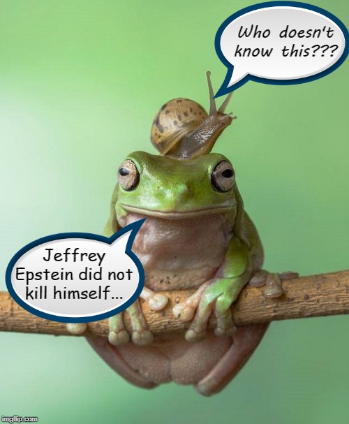 A frog & a snail... | Who doesn't know this??? Jeffrey Epstein did not kill himself... | image tagged in jeffrey epstein,kill,not | made w/ Imgflip meme maker