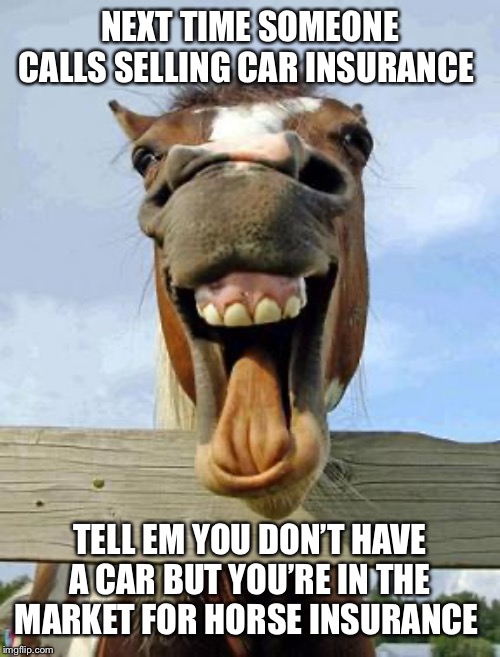 horsesmile | NEXT TIME SOMEONE CALLS SELLING CAR INSURANCE; TELL EM YOU DON’T HAVE A CAR BUT YOU’RE IN THE MARKET FOR HORSE INSURANCE | image tagged in horsesmile | made w/ Imgflip meme maker