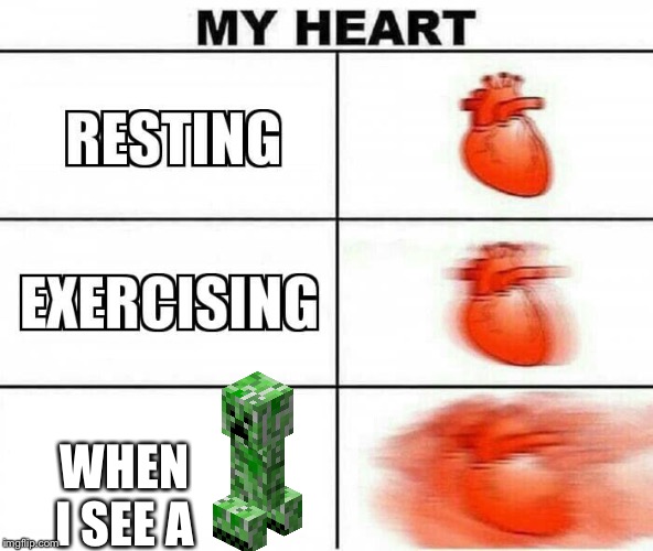 MY HEART | WHEN I SEE A | image tagged in my heart | made w/ Imgflip meme maker