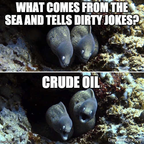 Aquatic, Scuba, Underwater | WHAT COMES FROM THE SEA AND TELLS DIRTY JOKES? CRUDE OIL | image tagged in aquatic scuba underwater | made w/ Imgflip meme maker