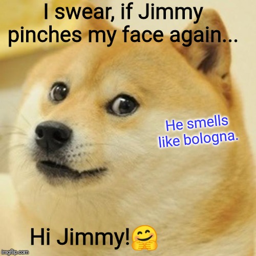 How Doge Feels | I swear, if Jimmy pinches my face again... He smells like bologna. Hi Jimmy!🤗 | image tagged in memes,doge,fun,silly | made w/ Imgflip meme maker