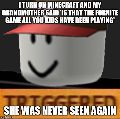 Roblox Triggered | I TURN ON MINECRAFT AND MY GRANDMOTHER SAID 'IS THAT THE FORNITE GAME ALL YOU KIDS HAVE BEEN PLAYING'; SHE WAS NEVER SEEN AGAIN | image tagged in roblox triggered | made w/ Imgflip meme maker