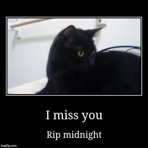 Rest in peace little buddy | image tagged in demotivationals,rip | made w/ Imgflip demotivational maker