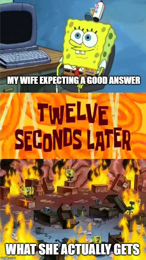 spongebob office rage | MY WIFE EXPECTING A GOOD ANSWER; WHAT SHE ACTUALLY GETS | image tagged in memes,spongebob office rage | made w/ Imgflip meme maker