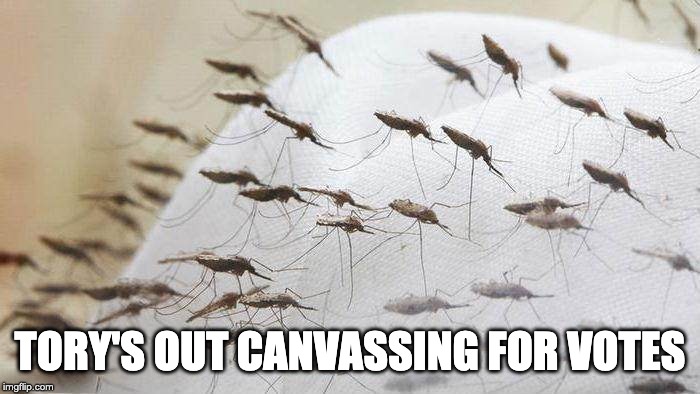 Tory politicians | TORY'S OUT CANVASSING FOR VOTES | image tagged in vote,tory,conservatives | made w/ Imgflip meme maker
