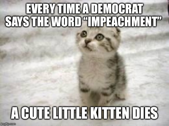 Sad Cat Meme | EVERY TIME A DEMOCRAT SAYS THE WORD “IMPEACHMENT”; A CUTE LITTLE KITTEN DIES | image tagged in memes,sad cat | made w/ Imgflip meme maker